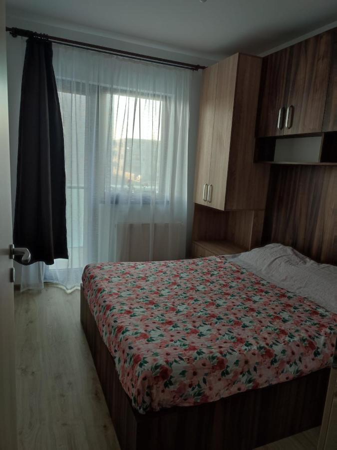 Marina'S House Apartment Ghimbav Luaran gambar